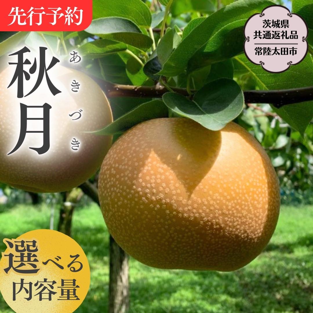 《 先行予約 》 茨城県産 梨 秋月【茨城県共通返礼品／常陸太田市】 約3kg 約5kg 桧山果樹園 農家直送 桧山果樹園 農家直送 フルーツ 甘い 直送 茨城 限定 ギフト 梨 秋月 あきづき 果物