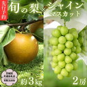 梨 【ふるさと納税】《 先行予約 》 茨城県産 シャインマスカット2房と旬の梨詰め合わせ 約3kg【茨城県共通返礼品／常陸太田市】 桧山果樹園 農家直送 桧山果樹園 農家直送 フルーツ 甘い 直送 茨城 限定 ギフト ぶどう シャインマスカット 旬 梨 秀玉 恵水 秋月 詰め合わせ