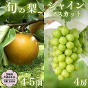 【ふるさと納税】《2025年9月上旬発送開始》 茨城県産 「 シャインマスカット 4房 」と「旬の 梨 」 詰め合わせ 約 5kg 【茨城県共通返礼品/常陸太田...