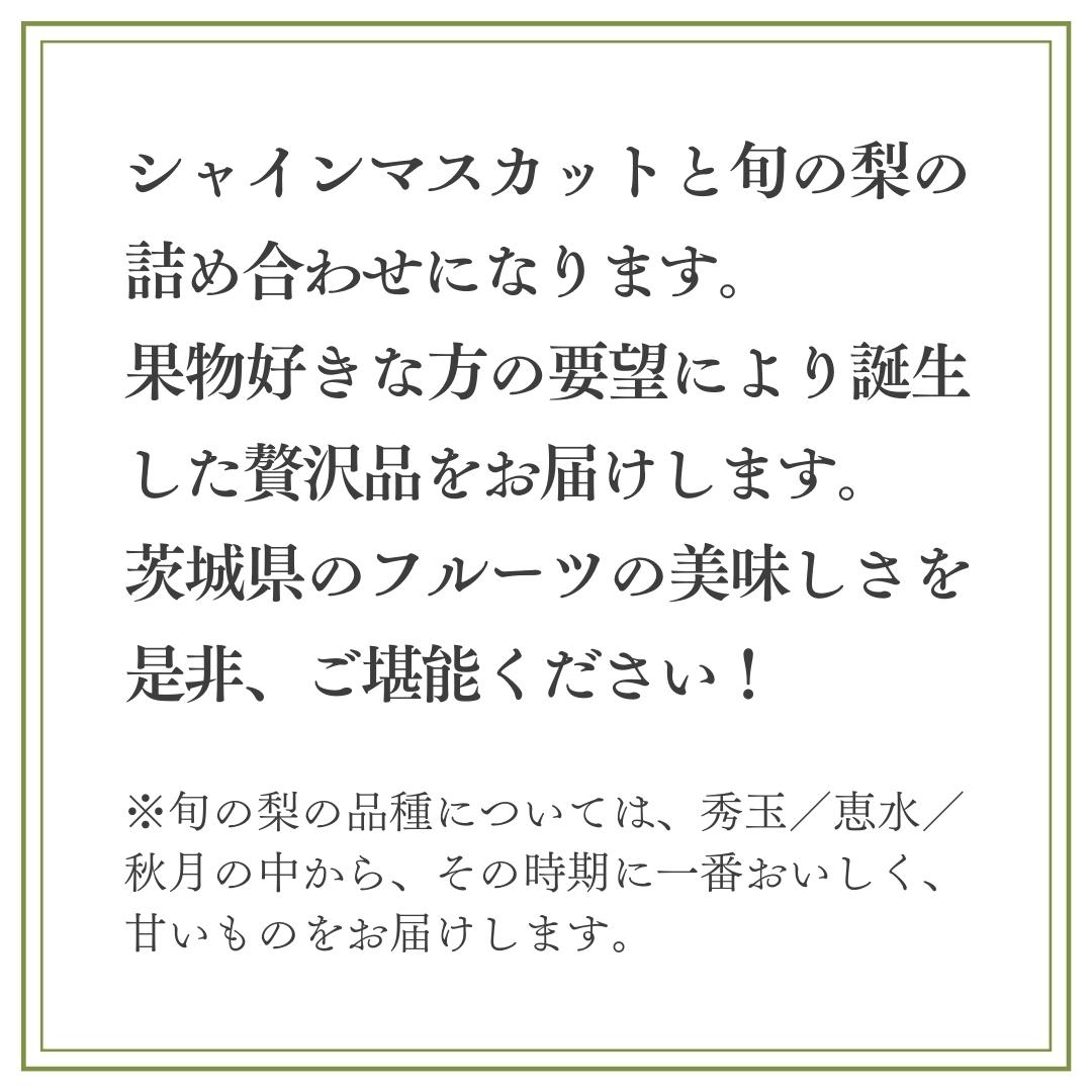 【ふるさと納税】《 先行予約 》 茨城県産 シャインマスカット4房と旬の梨詰め合わせ 約5kg【茨城県共通返礼品／常陸太田市】 桧山果樹園 農家直送 桧山果樹園 農家直送 フルーツ 甘い 直送 茨城 限定 ギフト ぶどう シャインマスカット 旬 梨 秀玉 恵水 秋月 詰め合わせ