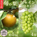 20位! 口コミ数「1件」評価「5」《 先行予約 》 茨城県産 シャインマスカット4房と旬の梨詰め合わせ 約5kg【茨城県共通返礼品／常陸太田市】 桧山果樹園 農家直送 桧山果･･･ 