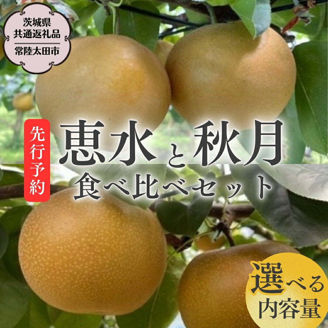 《 2024年 先行予約 》 厳選 2種！恵水 と 秋月 の 食べ比べセット 約3kg ( 5玉～7玉 ) 約5kg ( 8玉～10玉 ) 【 茨城県共通返礼品 ／ 常陸太田市 】 2024年9月中旬発送 桧山果樹園 フルーツ 甘い 直送 茨城 限定 ギフト 梨 恵水 秋月 旬 贈答 果物