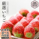 【ふるさと納税】《2026年 先行予約》【定期便 全3回】 厳選いちご 2パック ~ 4パック 2026年3月~5月お届け(茨城県共通返礼品/常陸太田市) フルーツ 苺 イチゴ いちご 新鮮 朝採れ 茨城県 桧山FRUITFARM
