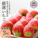 【ふるさと納税】《2024年1月上旬発送開始》【定期コース】厳選いちご( 2パック×1箱 )~ ( 4パック×1箱 ) ×3回【第2水曜発送】(茨城県共通返礼品/常陸太田市) フルーツ 苺 イチゴ いちご 新鮮 朝採れ 茨城県 桧山FRUITFARM