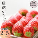 【ふるさと納税】《2026年 先行予約》 【定期 毎月お届けコース】厳選いちご 2パック×5回(茨城県共通返礼品/常陸太田市) 2026年1月発送開始 フルーツ 苺 イチゴ いちご 新鮮 朝採れ 茨城県 桧山FRUITFARM