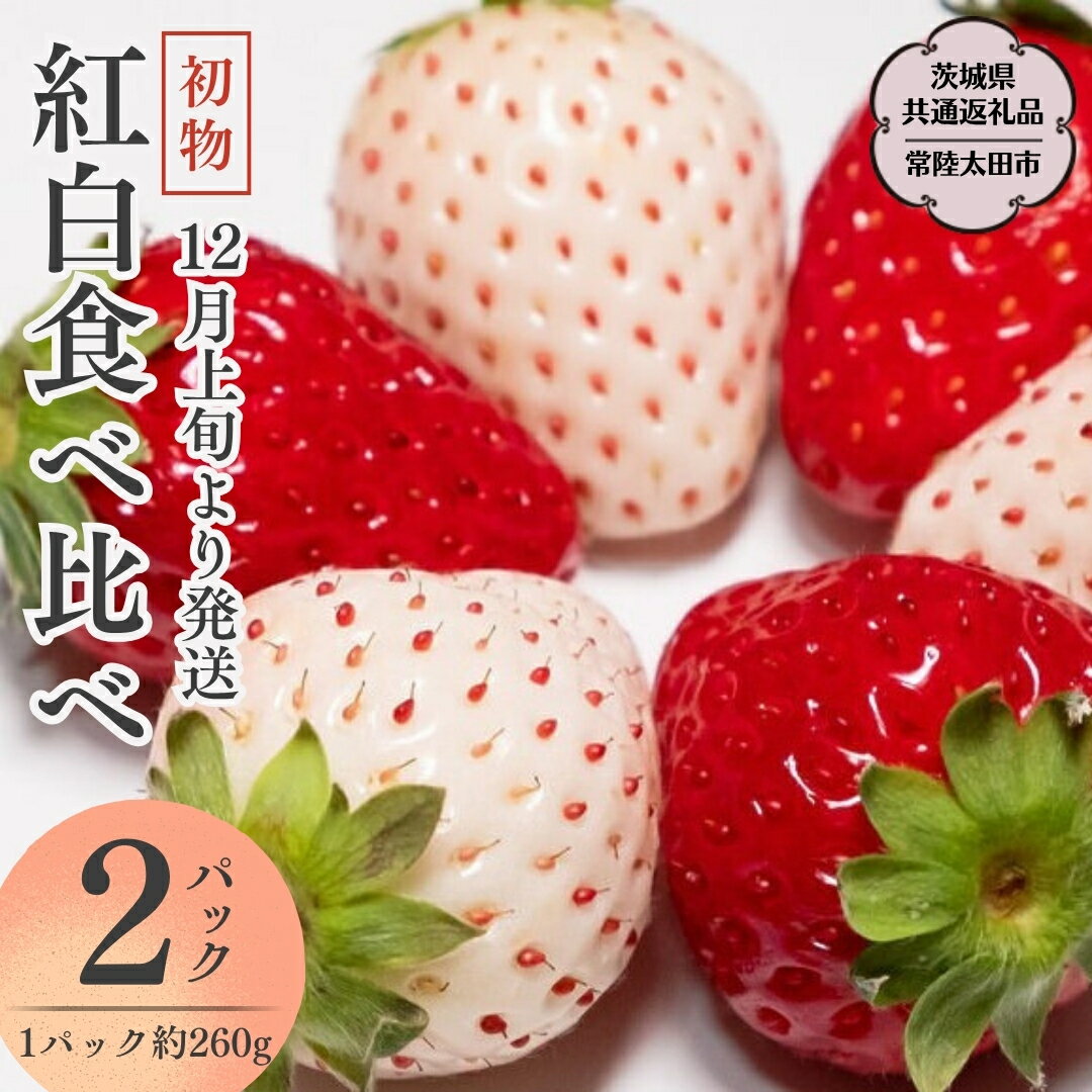 [ 先行予約 ]初物 紅白 食べ比べ いちご ( 2パック × 1箱 ) (茨城県共通返礼品/常陸太田市) 2025年12月上旬発送開始 フルーツ 苺 イチゴ いちご 新鮮 朝採れ 茨城県 桧山FRUITFARM