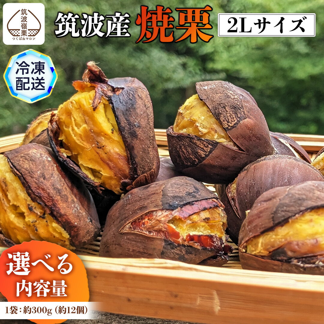 【ふるさと納税】 筑波産 の 焼栗 1袋 約300g 栗 くり 焼栗 おやつ スイーツ 茨城 和栗 果物 フルーツ...