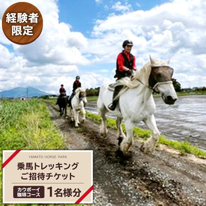 《経験者限定》 カウボーイ 珈琲コース 乗馬 トレッキング 体験チケット アウトドア