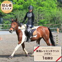 【ふるさと納税】乗馬 レッスン1回 コース（45分） 乗馬 トレッキング 体験チケット アウトドア