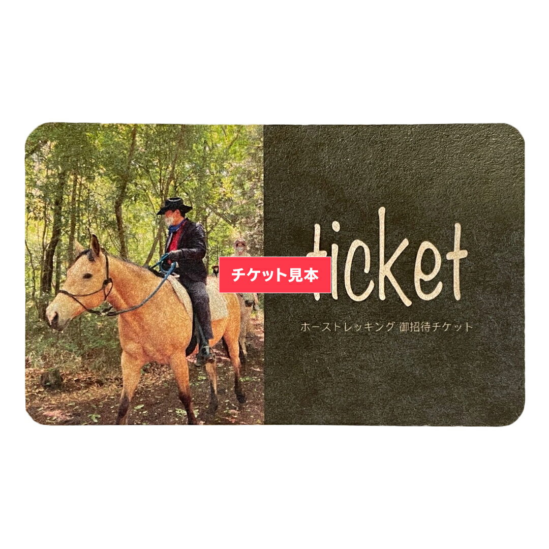 【ふるさと納税】《大人気》 流鏑馬 体験 1回 コース やぶさめ 体験 チケット アウトドア 2