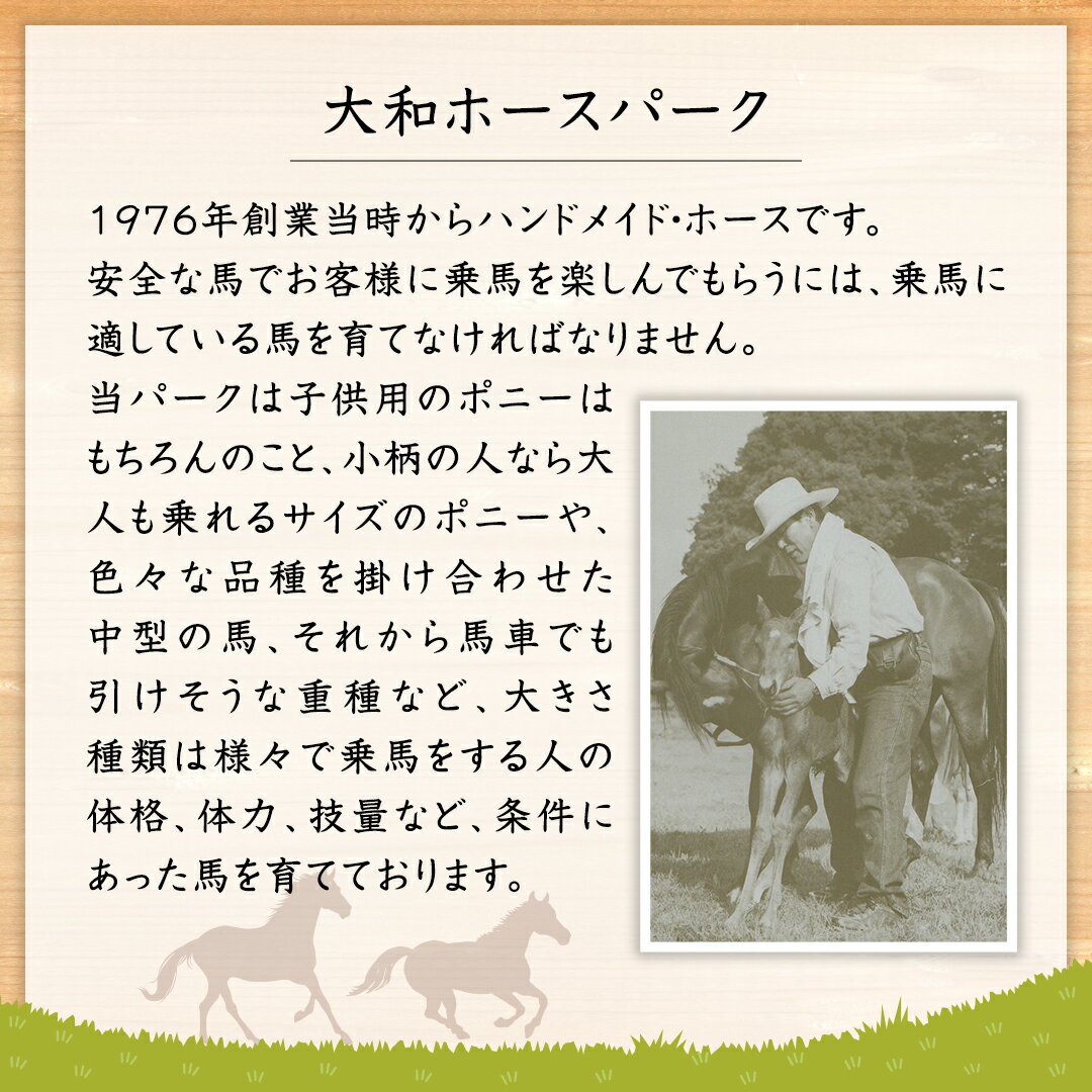 【ふるさと納税】《大人気》 流鏑馬 体験 1回 コース やぶさめ 体験 チケット アウトドア 3