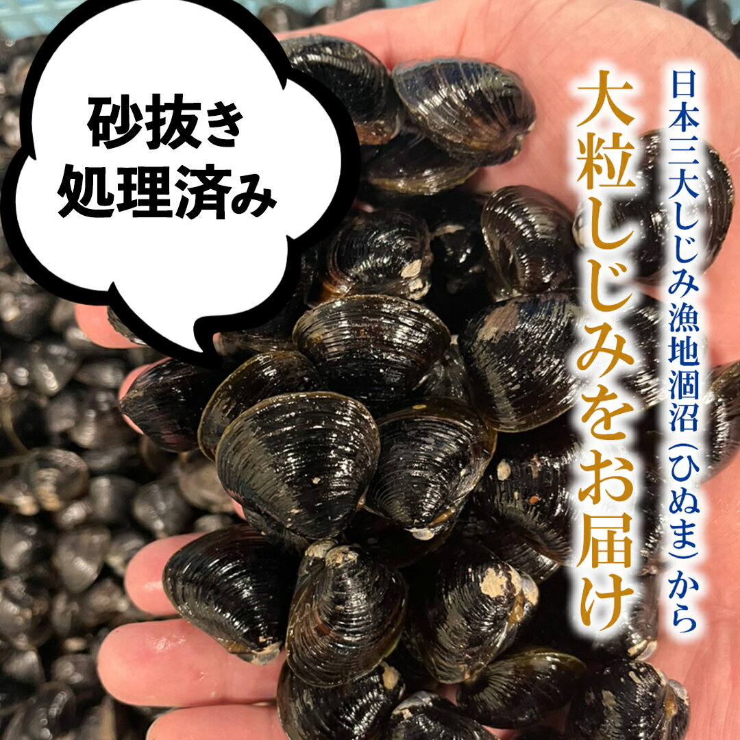 【ふるさと納税】茨城県 涸沼産 大粒 冷凍 シジミ 4～8袋 ( 1袋 400g ) ヤマトシジミ しじみ 大粒 冷凍 味噌汁 スープ 魚貝類 貝 オルニチン コハク酸 小分け