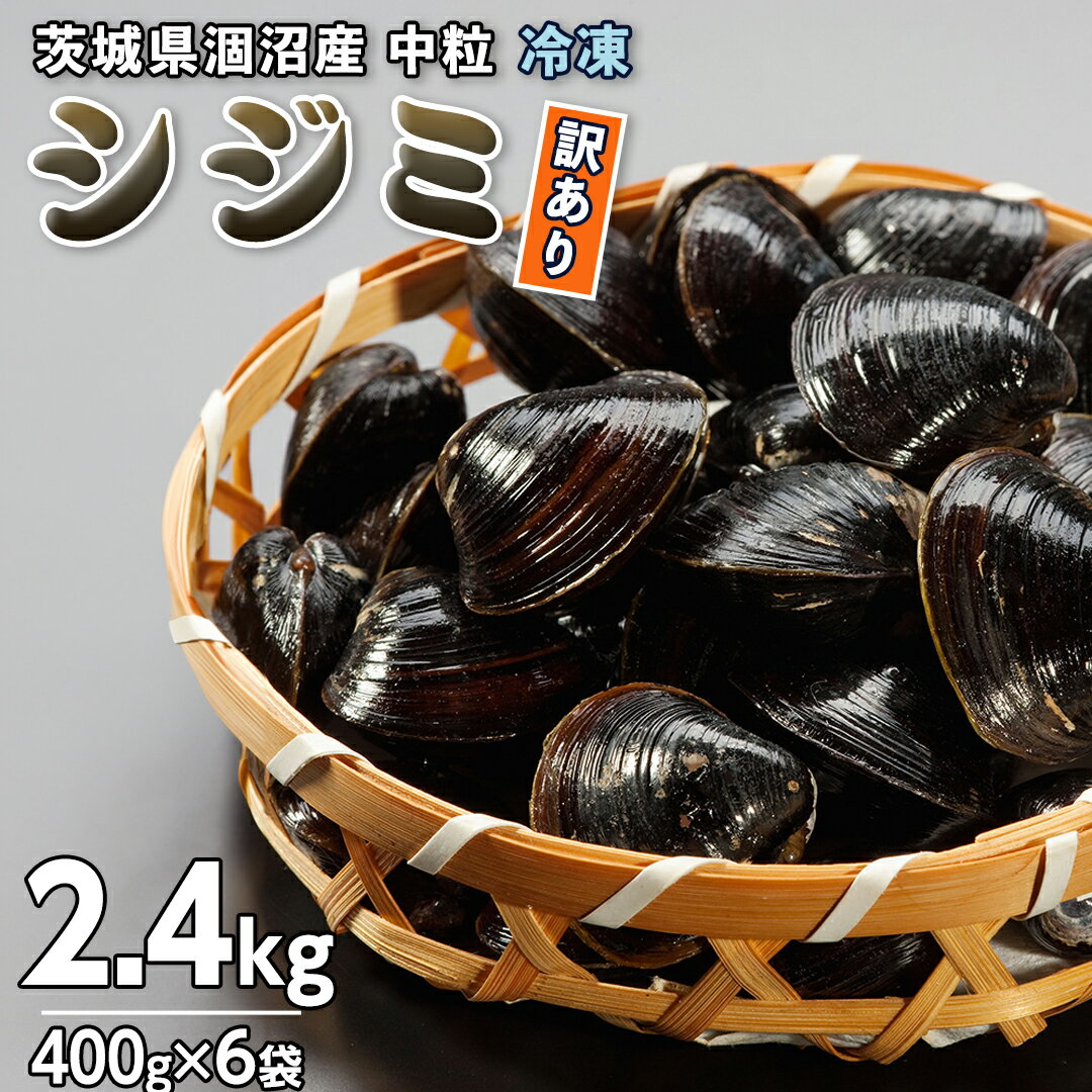 [訳あり]茨城県 涸沼産 中粒 冷凍 シジミ 2.4kg(400g×6袋) ヤマトシジミ しじみ 中粒 冷凍 味噌汁 スープ 魚貝類 貝 オルニチン コハク酸 小分け