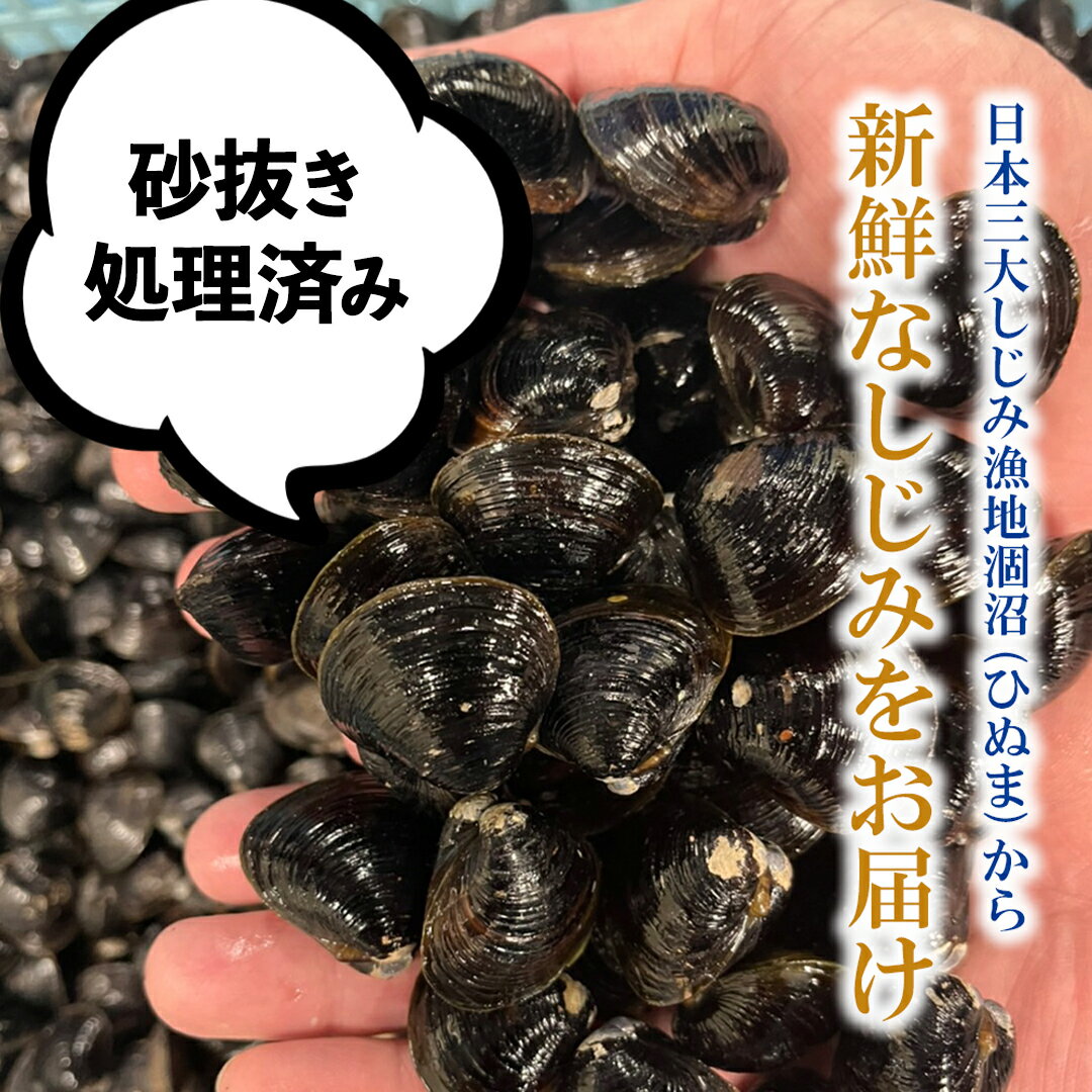 【ふるさと納税】【訳あり】茨城県 涸沼産 中粒 冷凍 シジミ 2.4kg（400g×6袋） ヤマトシジミ しじみ 中粒 冷凍 味噌汁 スープ 魚貝類 貝 オルニチン コハク酸 小分け