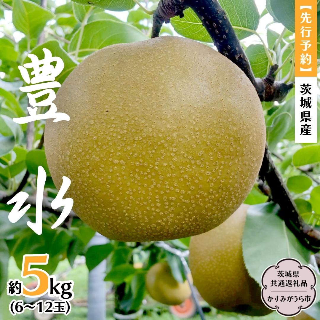 梨 【ふるさと納税】《 先行予約 》 茨城県産 梨 豊水 約5kg 6玉～12玉 (茨城県共通返礼品 かすみがうら市) (2024年8月中旬発送開始) 産地直送 久保田果樹園 フルーツ 甘い 直送 茨城 限定 ギフト 梨 豊水 ほうすい 果物