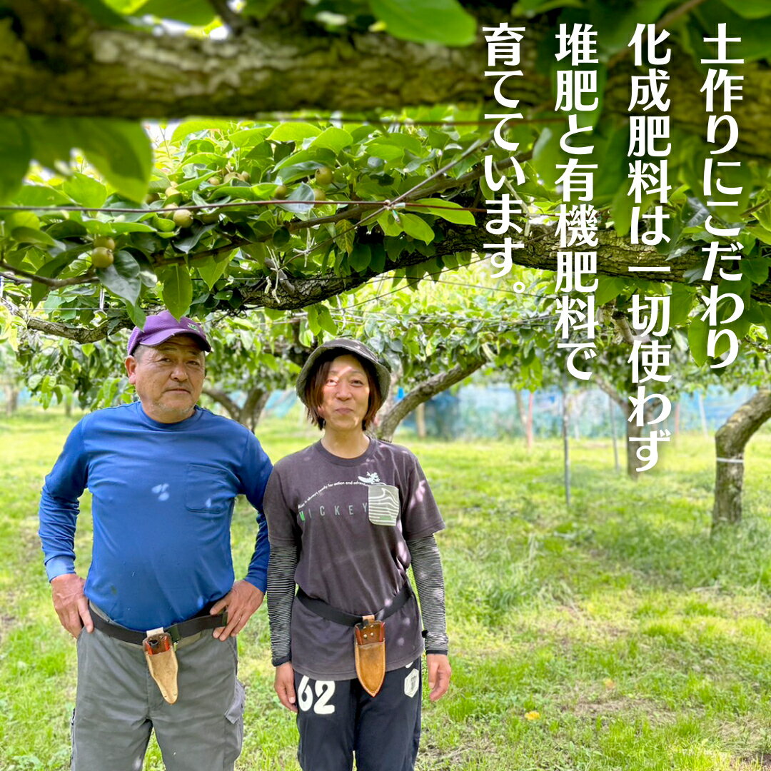【ふるさと納税】【 先行予約 】 茨城県産 梨 豊水 約5kg 7玉～14玉 (茨城県共通返礼品 かすみがうら市) (2025年8月中旬発送開始) 産地直送 久保田果樹園 フルーツ 甘い 直送 茨城 限定 ギフト 梨 豊水 ほうすい 果物