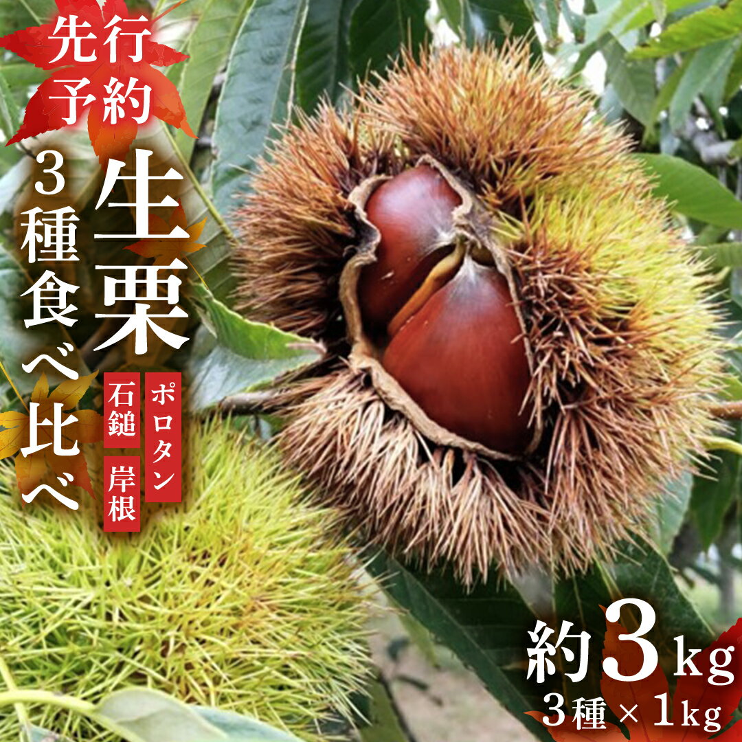 【ふるさと納税】《 先行予約 》 生栗 3種 食べ比べ 約3kg (茨城県共通返礼品 かすみがうら市) （2024年10月中旬発送開始） 茨城県産 産地直送 久保田果樹園 茨城 栗 くり ポロタン 石鎚 岸根 いしづち がんね 秋 旬 直送