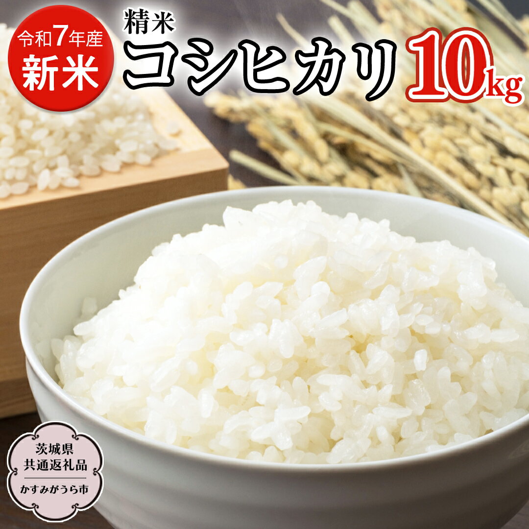 [令和7年産 新米] 精米 茨城県産 コシヒカリ 10kg (茨城県共通返礼品 かすみがうら市) 紙米袋 茨城 新米 精米 コシヒカリ お米 ごはん 直送