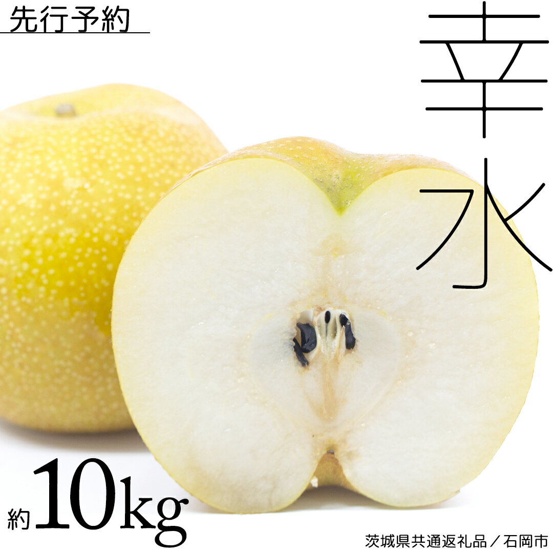 【ふるさと納税】《2025年8月中旬発送開始 》 幸水梨 約 10kg ( 茨城県共通返礼品 / 石岡市 ) 幸水 梨 フルーツ 果物 なし ナシ 新鮮 旬 期間限定 甘い 国産