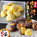 【ふるさと納税】《 先行予約 》 【 吉原農場 の 完熟栗 】 熟成 生むき栗 ( 120g × 3袋 ) & 焼き栗 ( 200g × 2袋 ) セット 完熟 栗 くり クリ 栗ごはん 果物 フルーツ 贈答 ギフト 旬 秋の味覚 秋 冬 正月 おせち 《 2025年10月下旬発送開始 》