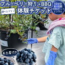 【ふるさと納税】《寄附受付は2025年8月5日まで》 ブルーベリー狩り + DAYキャンプ 体験チケット 《レンタルBBQ道具+お土産付き》 ブルーベリー ベリ...