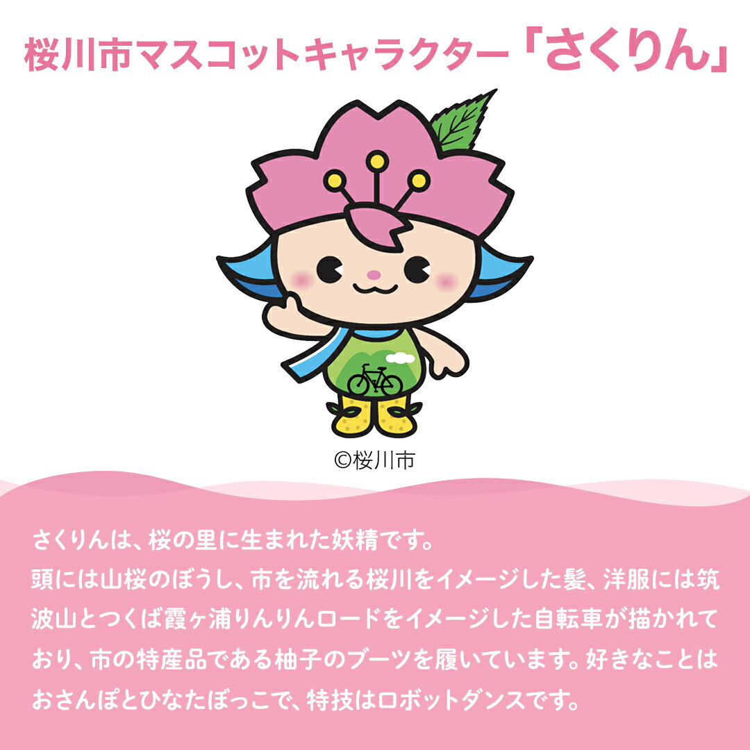 【ふるさと納税】桜川市応援！さくりんグッズ セット Tシャツ白 紺 S L M ご当地キャラクター ステッカー コースター キーホルダー