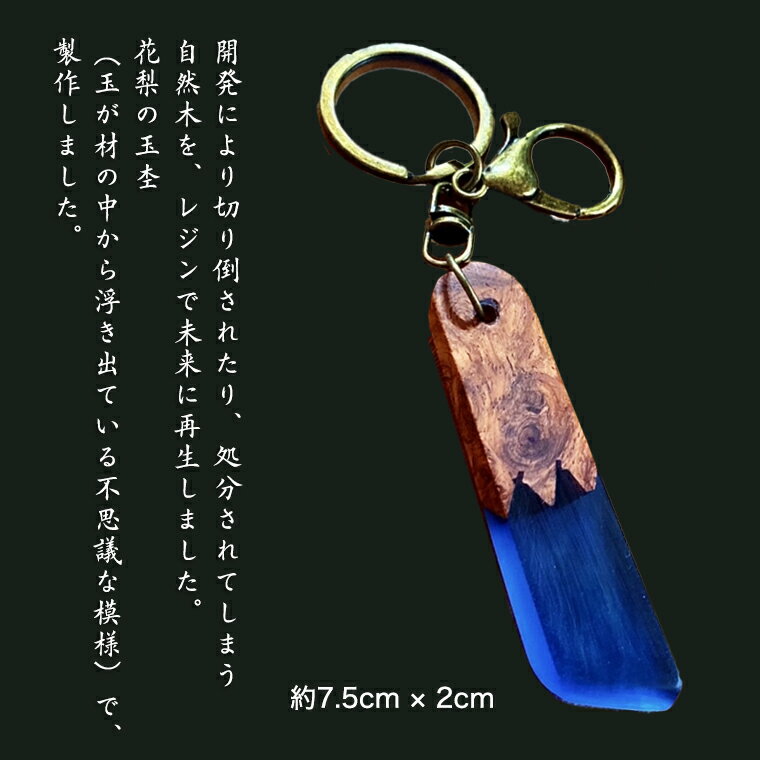 【ふるさと納税】 花梨 ( カリン ) の木を使用したレジンキーホルダー レジン キーホルダー かりん