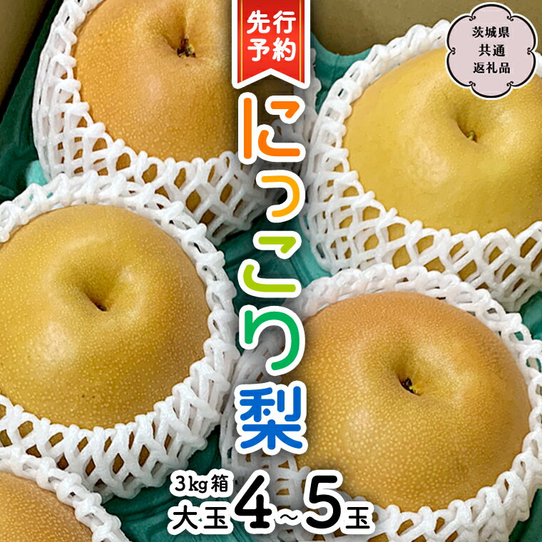 【ふるさと納税】【 先行予約 】 にっこり梨 約3kg 箱 