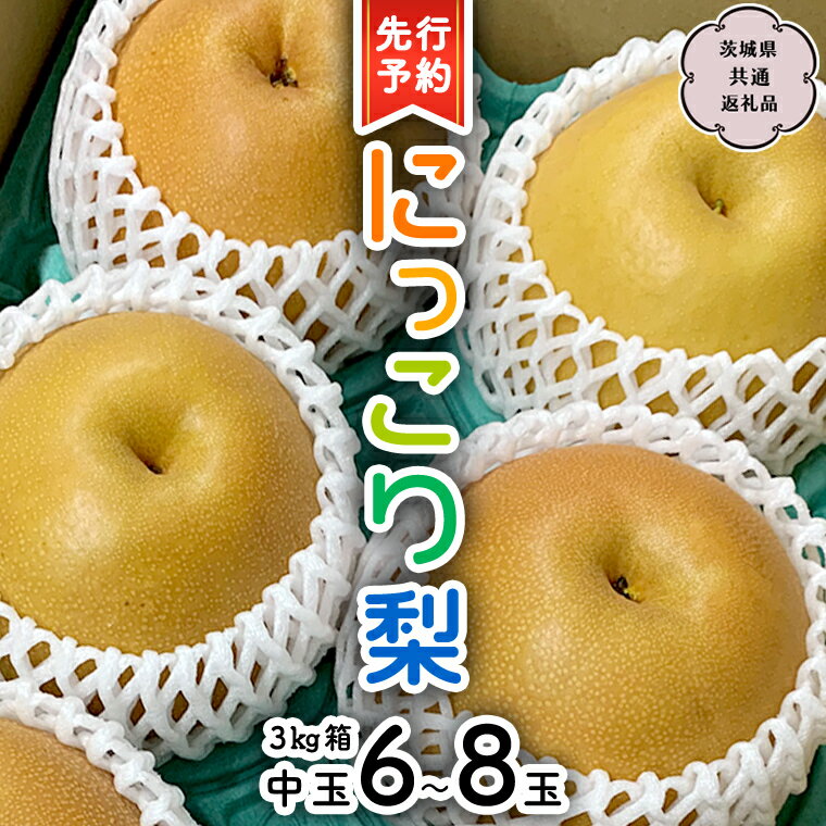 【ふるさと納税】 【 先行予約 】 にっこり梨 約3kg 箱