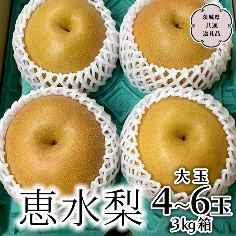 【ふるさと納税】《令和5年9月中旬から発送開始》恵水梨 3kg箱 大玉4～6玉 (茨城県共通返礼品 城里町) フルーツ 甘い オリジナル 大玉 直送 茨城 限定のサムネイル