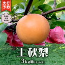 【ふるさと納税】《 先行予約 》王秋梨 3kg 箱 4玉~6玉 ( 茨城県共通返礼品 城里町 ) 2025年11月中旬から発送開始 梨 なし 和梨 フルーツ 甘い お正月 クリスマス 大玉 直送 茨城 限定