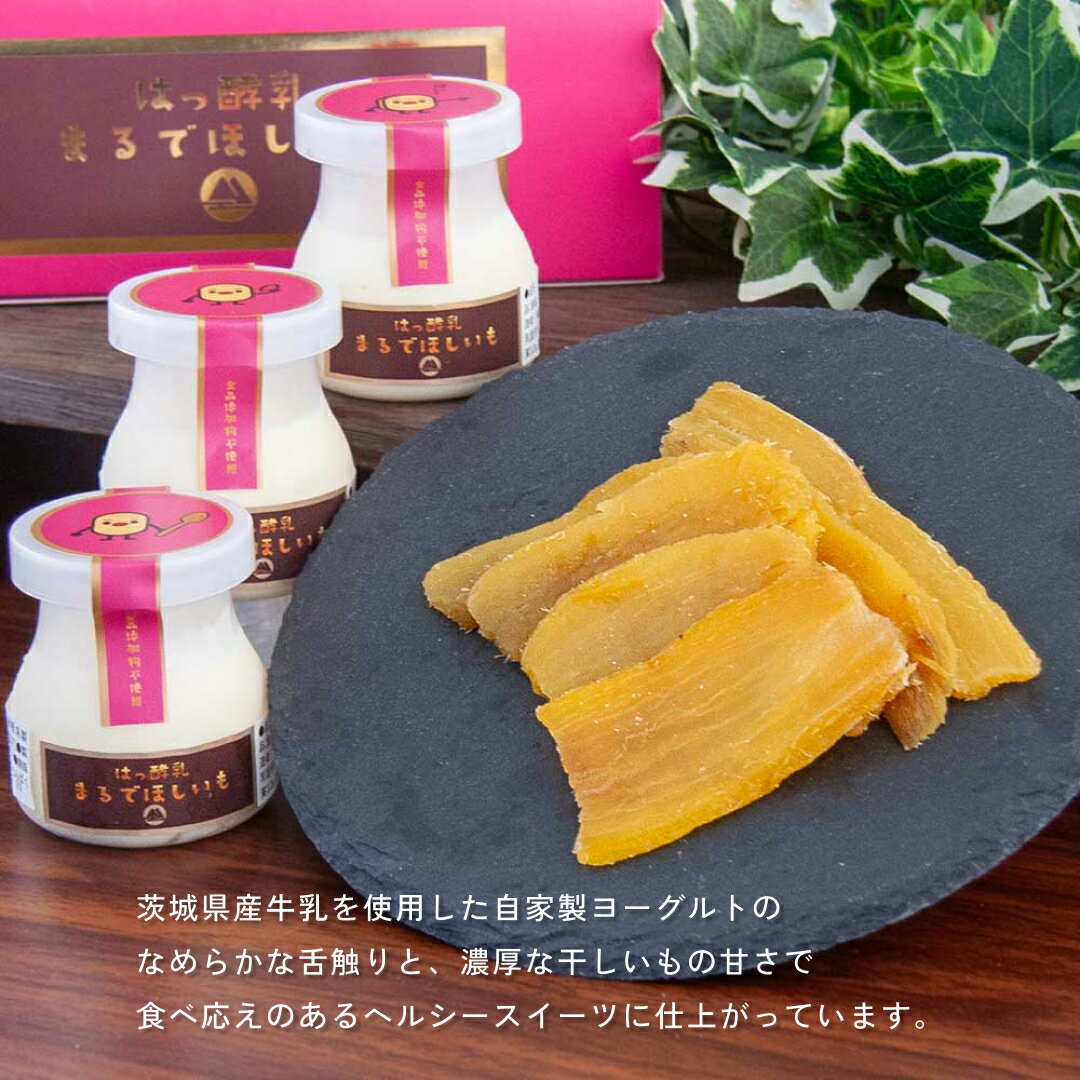 【ふるさと納税】《 選べる 個数 》 筑波ハム 『 まるで ほしいも 』 3個 6個 12個 (1個100g) ( ほしいもクン 特製 化粧箱 入り )( 茨城県共通返礼品 ) 自家製 ヨーグルト 紅はるか べにはるか 干し芋 干しいも デザート おやつ スイーツ
