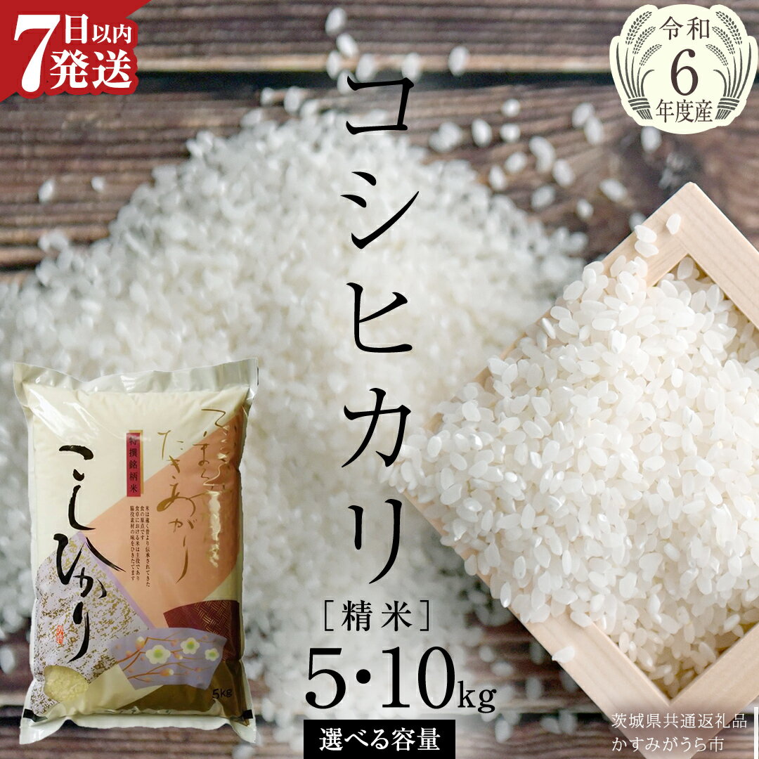 ≪ 令和6年産 ≫コシヒカリ 精米 5kg 〜 10kg ( 選べる 内容量 ) (茨城県共通返礼品 かすみがうら市) 米 ごはん もっちり 甘い コメ お米 白米