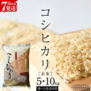 【ふるさと納税】《 生活応援価格 》《 令和7年産 》 コシヒカリ 玄米 5kg ~ 10kg ( 選べる 内容量・発送時期 ) ( 茨城県共通返礼品 ..