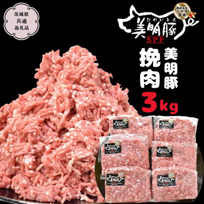 美明豚 挽肉 3kg【茨城県共通返礼品 行方市】 豚肉 国産 銘柄 グルメ 茨城県 料理