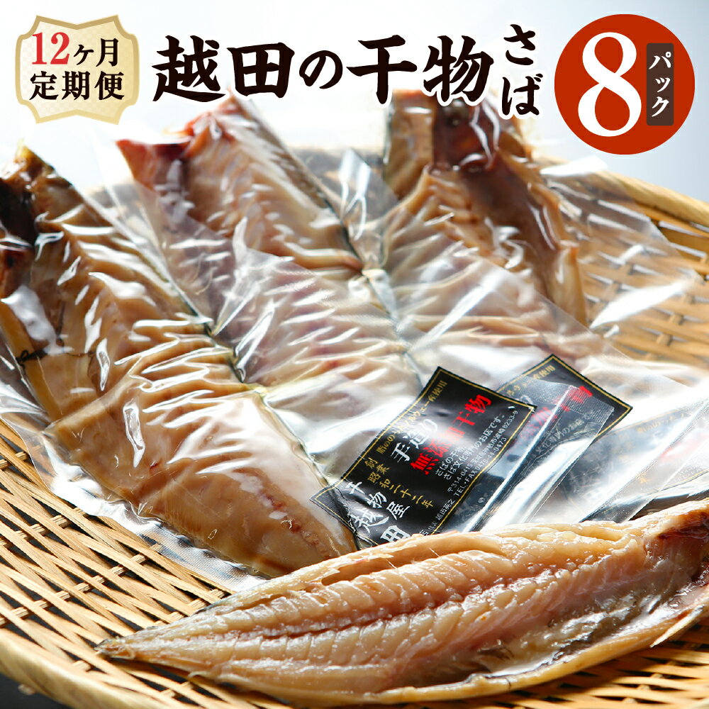 12カ月 定期便 越田の干物 さば 8枚 セット 鯖 サバ 文化干し 塩 干物 定期便 12か月 国産 神栖市 茨城県 送料無料