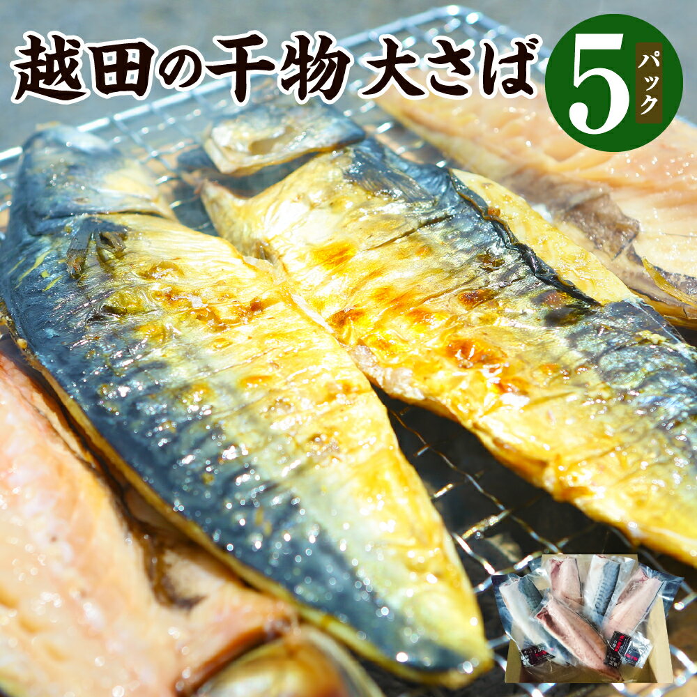 越田の干物 大さば 5枚 セット 魚 鯖 文化干し 塩 さば サバ 干物 神栖市 茨城県 送料無料