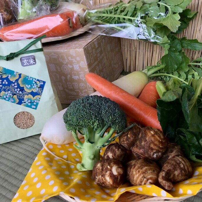 【ふるさと納税】<栽培期間農薬不使用> 玄米2kgと季節の野菜 4~5品 自然栽培 野菜 旬 セット 詰め合わせ 定期便 神栖市 茨城県 送料無料【2024年9月下旬より順次発送開始】