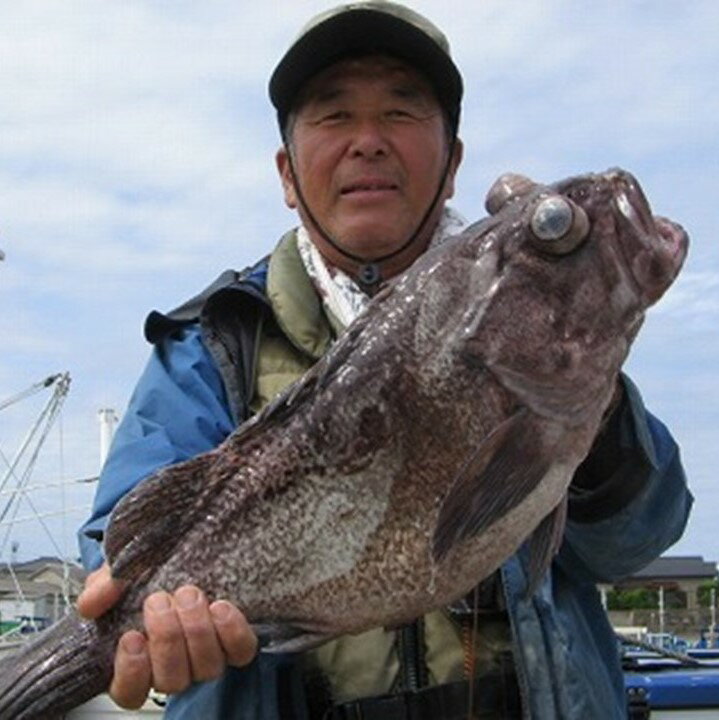 【ふるさと納税】釣り船乗船券 第三東洋丸 1名様分 根魚 アカムツ ヒラメ 中深場 シーズン フィッシング チャレンジ 宿泊なし 食事なし 体験 神栖市その2