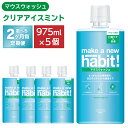 【ふるさと納税】<2ヶ月毎定期便>マウスウォッシュ メイクアニューハビット クリアアイスミント 975ml×5個セット 洗口液 エチケット 歯周病予防 口臭予防...