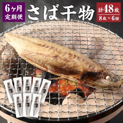 ＜6ヶ月定期便＞ とんでもない鯖 鯖文化干し8枚×6回 鯖 文化干し 魚 さば サバ 干物 神栖市 茨城県 送料無料