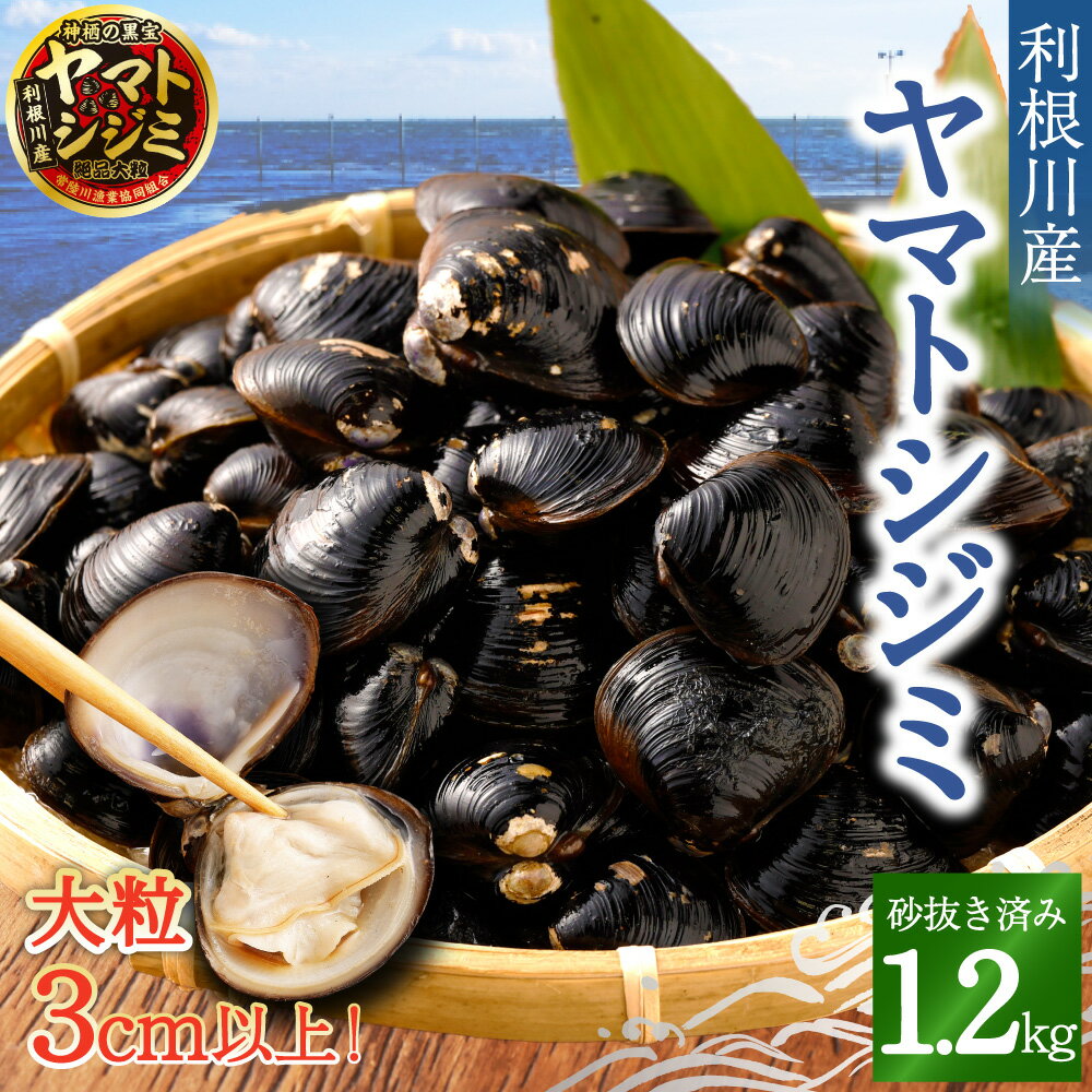 【ふるさと納税】神栖の黒宝 漁業者からお届け！利根川産ヤマトシジミ 1.2kg 魚介 貝 大粒3cm以上 砂抜き済み 利根川 味噌汁 酒蒸し パスタ 丼ぶり 茨城県 神栖市 送料無料