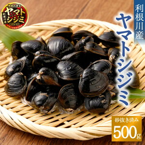 【ふるさと納税】神栖の黒宝 漁業者からお届け！利根川産ヤマトシジミ 500g 魚介 貝 大粒3cm以上 砂抜き済み 利根川 味噌汁 酒蒸し パスタ 丼ぶり 茨城県 神栖市 送料無料