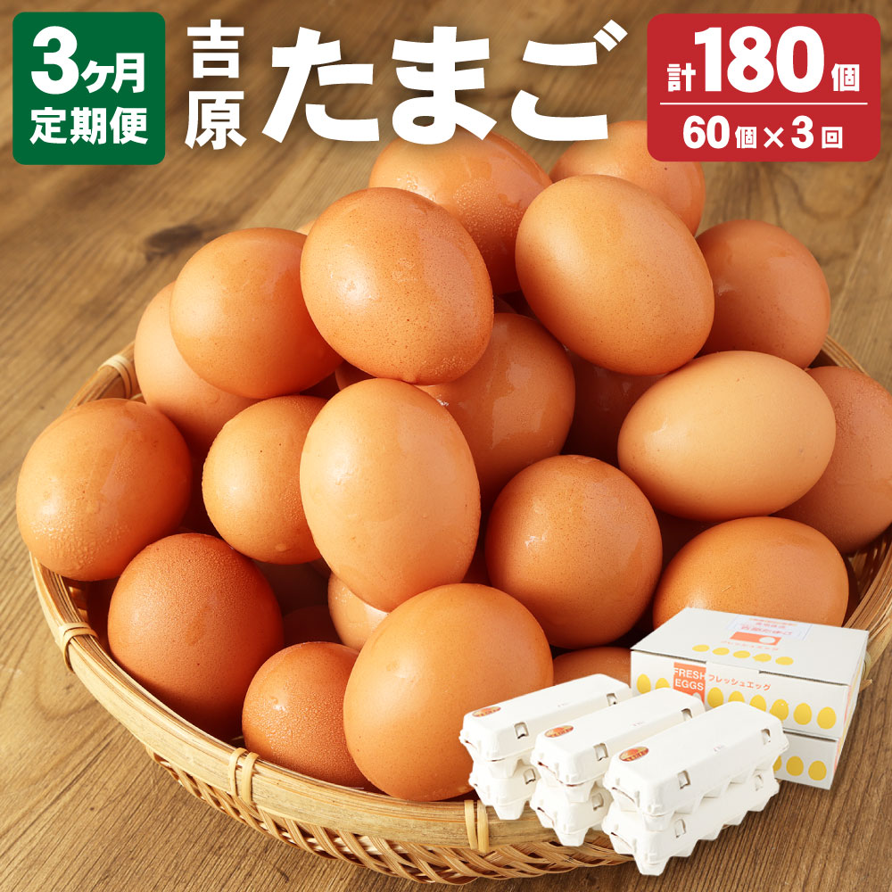 【ふるさと納税】 <3ヶ月定期便>濃厚プレミアム 吉原たまご 2箱 30個×2箱 60個入り 3回 合計180個 卵 玉子 生卵 鶏卵 定期便 茨城県 神栖市 送料無料
