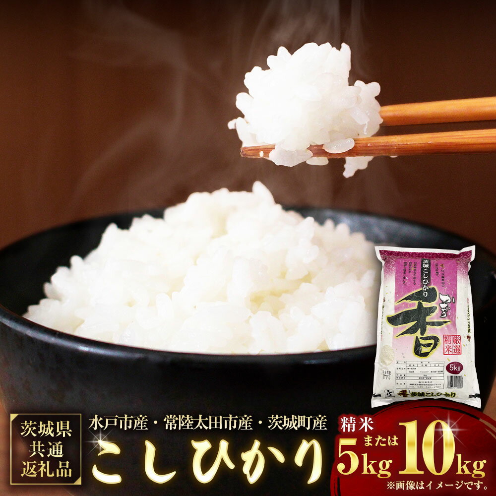 【ふるさと納税】【選べる容量】【令和6年産】茨城県産こしひかり 精米5kg / 10kg(5kg×2)(茨城県共通返礼品・水戸市産・常陸太田市産・茨城町産) こしひかり コシヒカリ 精米 米 お米 こめ おこめ コメ 白米 ご飯 茨城県 神栖市 送料無料