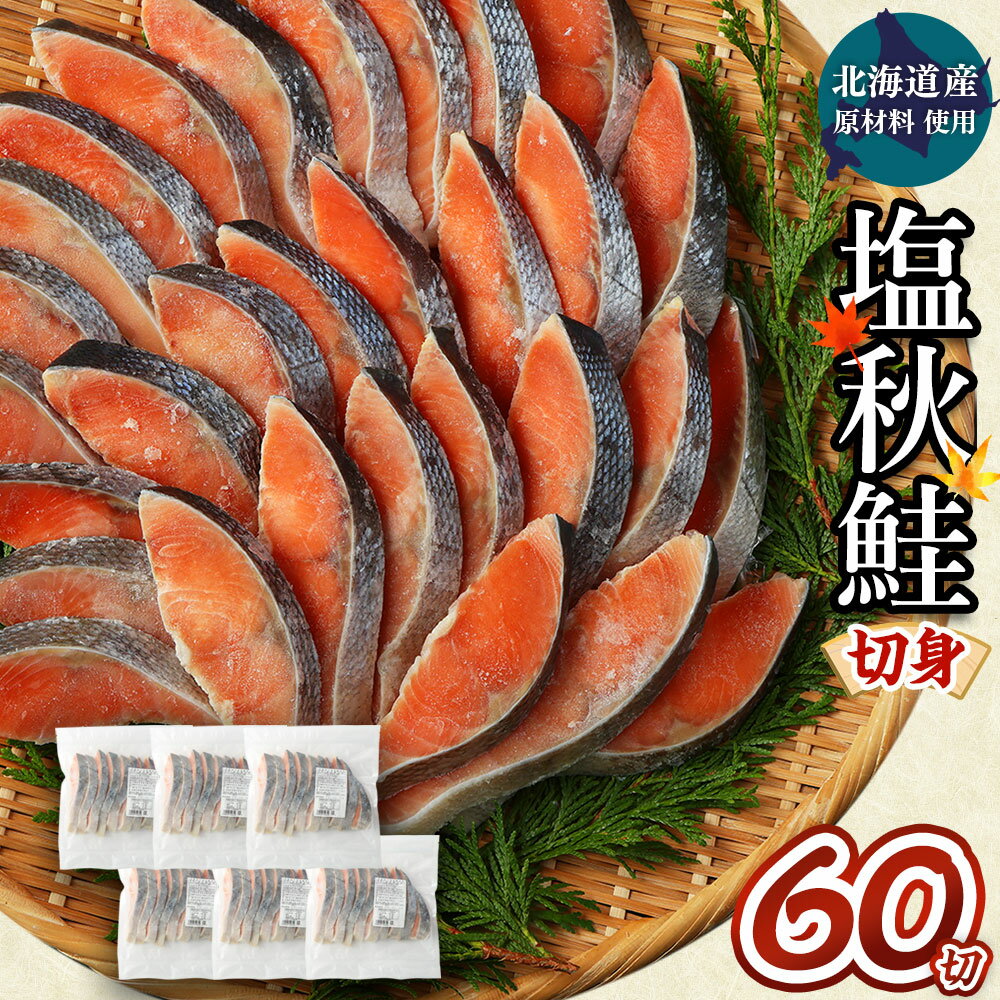 【ふるさと納税】【北海道産原材料使用】塩秋鮭切身 60切 合計約3.3kg 1パック10切入り×6パック 北海道産 塩秋鮭 切身 秋鮭 魚 魚介類 鮭 さけ シャケ 焼き鮭 切り身 小分け 甘塩 冷凍 茨城県 神栖市 送料無料