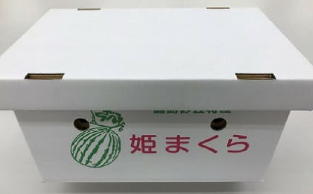 【ふるさと納税】原農園の甘～い スイカ 姫まくら 2個入 2L～3Lサイズ 西瓜 野菜 果物 フルーツ 産地直送 茨城県 神栖市 送料無料【5月1日～5月31日頃に配送予定】