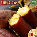 【ふるさと納税】“熟成”神栖市産さつまいも(紅はるか) 訳あり 約5kg 約10kg さつまいも サツマイモ さつま芋 芋 いも 訳あり 不揃い 自宅用 野菜 茨城県 神栖市 送料無料