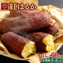 【ふるさと納税】 【選べる定期便】“熟成” 茨城県産 さつまいも【紅はるか】約5kg または 約10kg (茨城県共通返礼品・行方市産)サツマイモ さつま芋 芋...