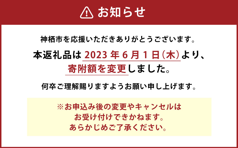 【ふるさと納税】いわしフィーレ 酢〆 15g×20枚 2パック 合計40枚 寿司 刺身 イワシ 鰯 まいわし 魚 魚介類 水産加工物 冷凍 茨城県 神栖市 送料無料